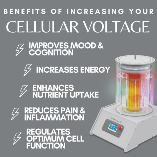 BioCharger® Energy Recharging Sessions